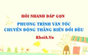 Phương trình vận tốc của chuyển động thẳng biến đổi đều? Vật lí 10